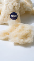 Saf Merino Taranmış Koyun Yünü – 100 g
